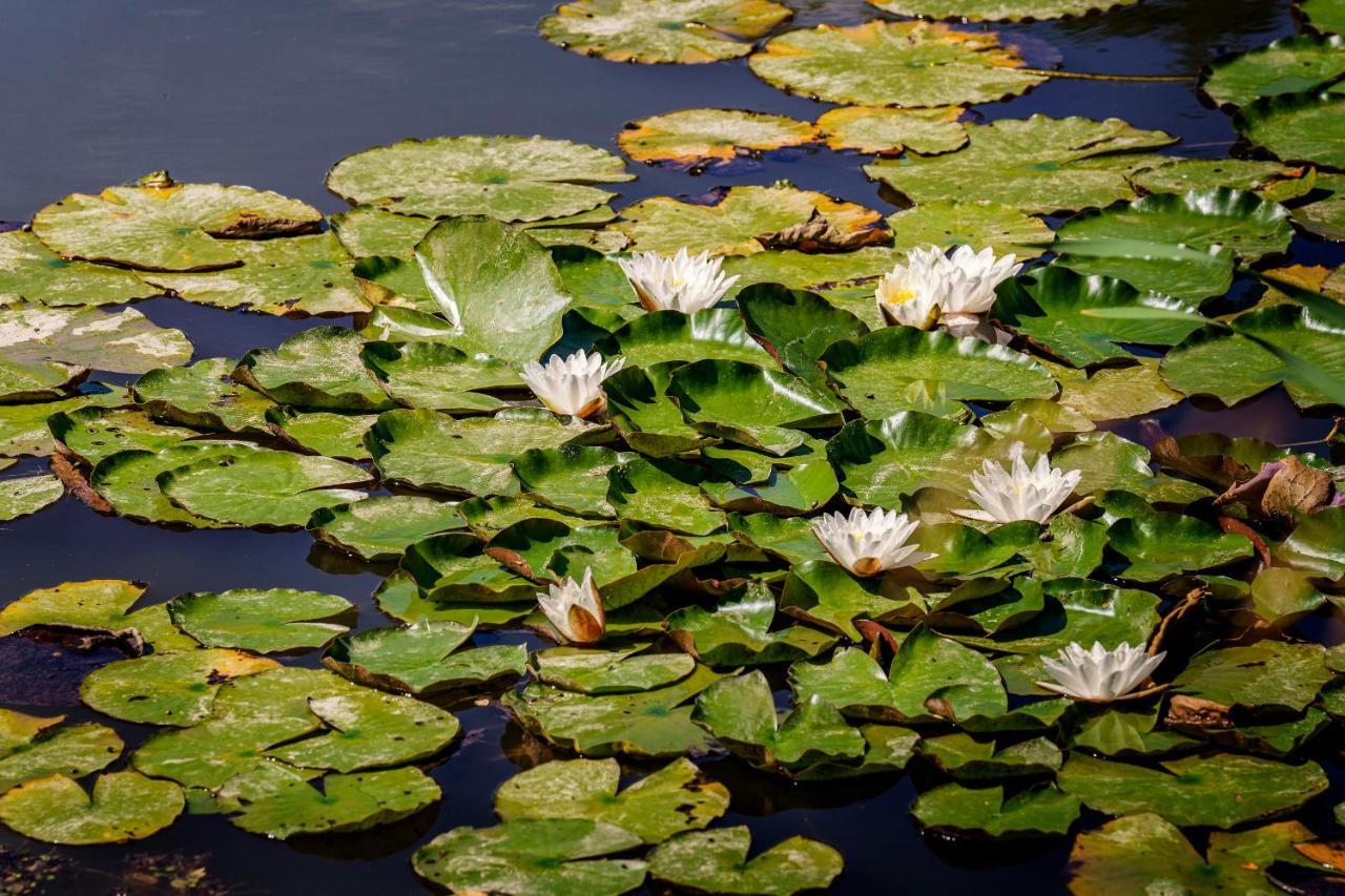 Agriturismo Biologico Autosufficienza Bagno di Romagna Eksteriør billede