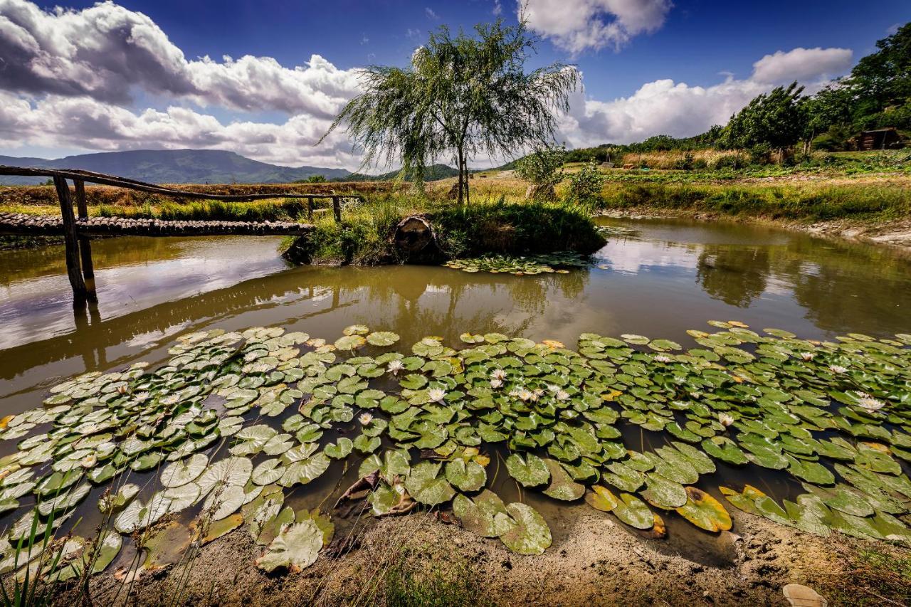 Agriturismo Biologico Autosufficienza Bagno di Romagna Eksteriør billede