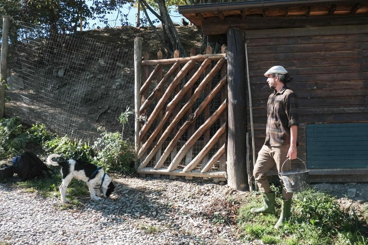 Agriturismo Biologico Autosufficienza Bagno di Romagna Eksteriør billede