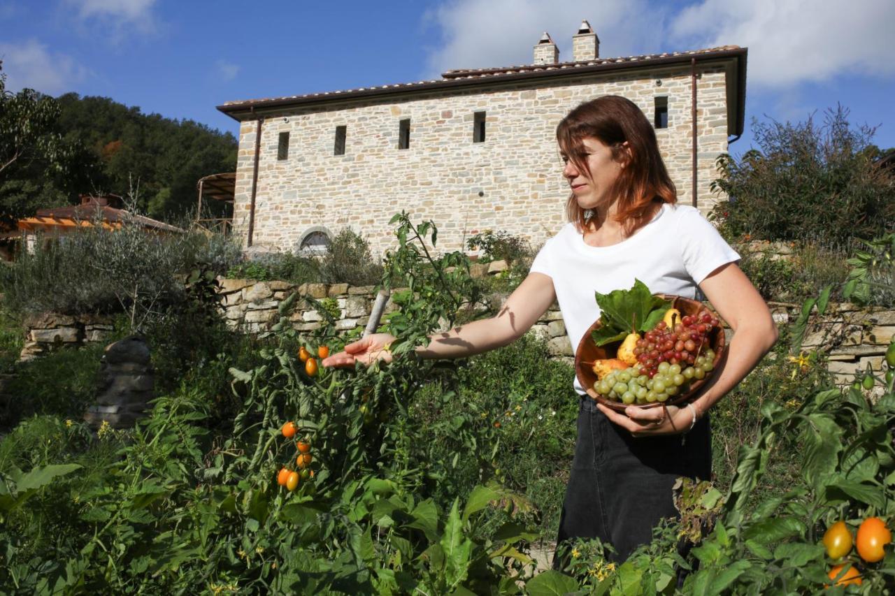 Agriturismo Biologico Autosufficienza Bagno di Romagna Eksteriør billede